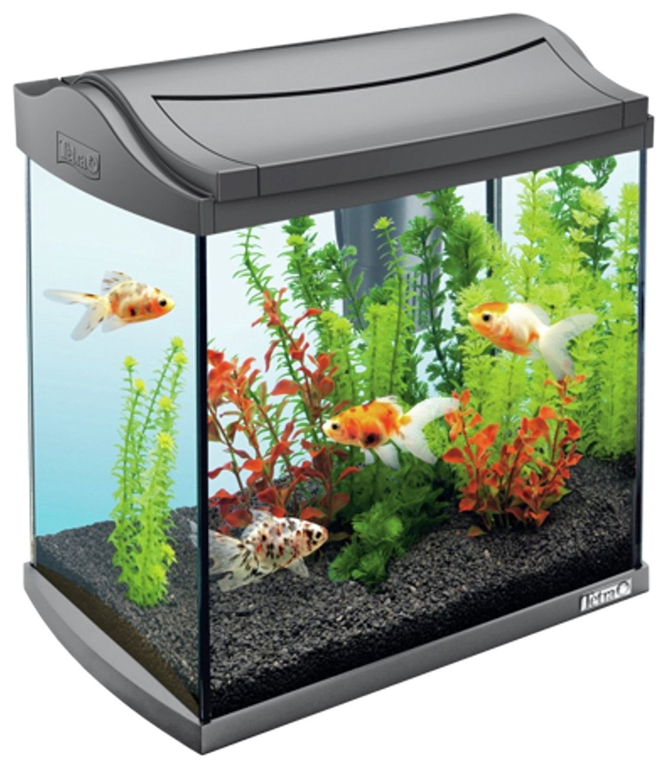 FISH TANK 会報 FT.001〜FT.015 + vol.0他 Tetra Aqua Art Aquarium Fish Tank, 30 Litre : Amazon.co.uk: Pet